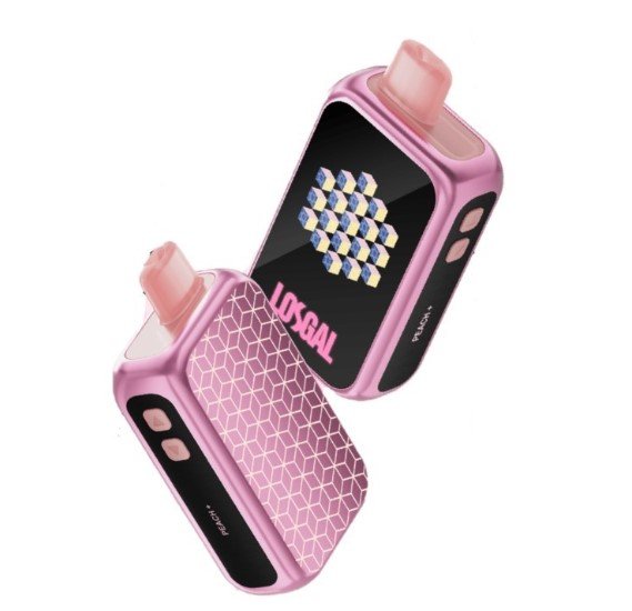 Lost Mary 25000