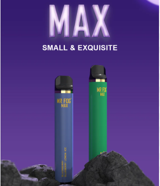 Mr Fog Max 1000