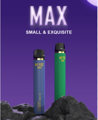 Mr Fog Max 1000